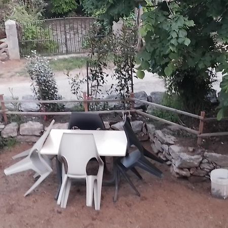 Maison De Caractere Au Coeur De La Corse Rurale Calacuccia Exteriör bild